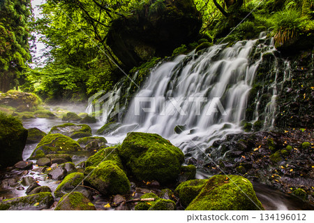 [Akita Prefecture_Mototaki Underground Water] River mist created by the underground water of Mt. Chokai. Summer, July 134196012