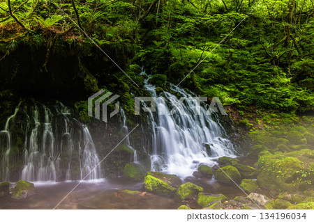 [Akita Prefecture_Mototaki Underground Water] River mist created by the underground water of Mt. Chokai. Summer, July 134196034