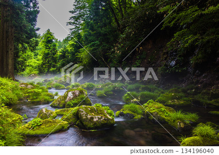 [Akita Prefecture_Mototaki Underground Water] River mist created by the underground water of Mt. Chokai. Summer, July 134196040