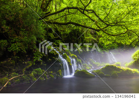 [Akita Prefecture_Mototaki Underground Water] River mist created by the underground water of Mt. Chokai. Summer, July 134196041