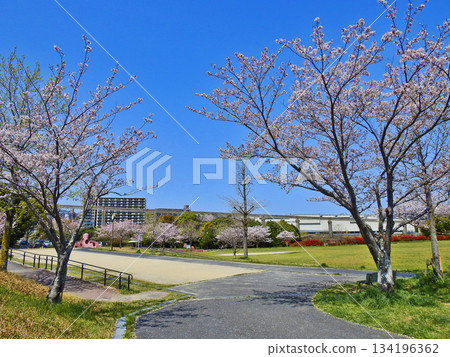 在北九州市小倉南區的志井公園，可以看到單軌列車。 134196362