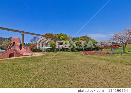 春季的志井公園，可遠眺福岡縣北九州市的單軌列車。 134196364