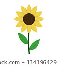 Simple Sunflower Vector Illustration. Perfect for educational materials, childrens projects, stickers, print on demand products, greeting cards, and nature themed graphics. 134196429