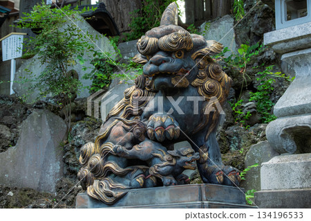 千葉縣成田市成田山新勝寺內供奉著青銅守護獅雕像和鬱鬱蔥蔥的綠植。 千葉縣成田市成田山新勝寺內供奉著青銅守護獅雕像和鬱鬱蔥蔥的綠植。 134196533