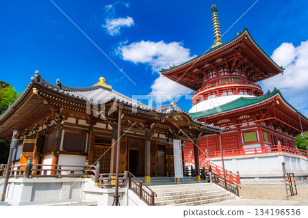 成田山新勝寺,千葉縣成田市,禦殿和大和平塔 成田山新勝寺,千葉縣成田市,禦殿和大和平塔 134196536