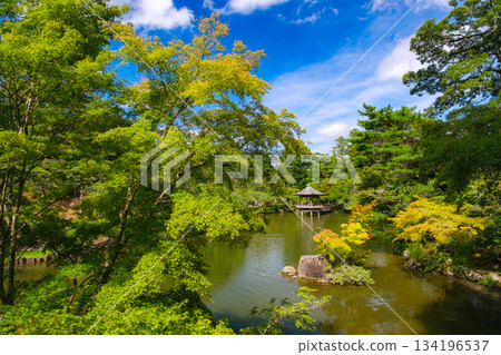 千葉縣成田市成田山公園龍池的翠綠景色 134196537