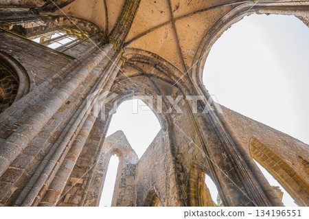 Saint Mathieu abbey, plougonvelin, finistere, brittany, france 134196551