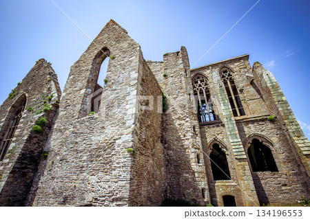 Saint Mathieu abbey, plougonvelin, finistere, brittany, france 134196553