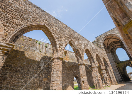 Saint Mathieu abbey, plougonvelin, finistere, brittany, france 134196554