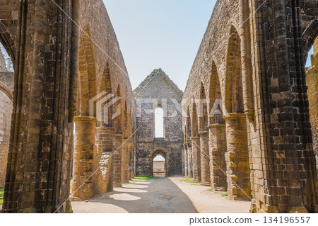 Saint Mathieu abbey, plougonvelin, finistere, brittany, france Saint Mathieu abbey, plougonvelin, finistere, brittany, france 134196557