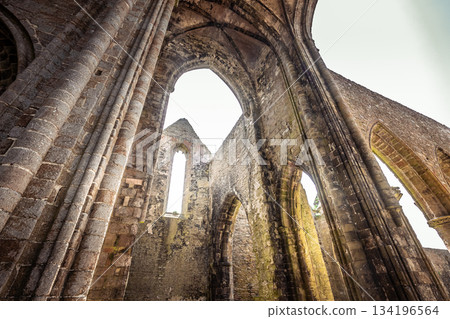Saint Mathieu abbey, plougonvelin, finistere, brittany, france Saint Mathieu abbey, plougonvelin, finistere, brittany, france 134196564