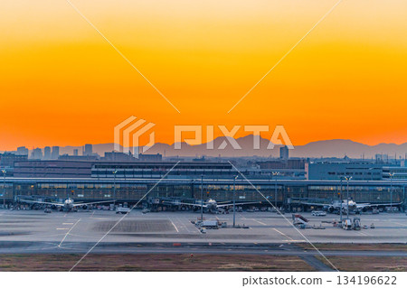 [Tokyo] A view of Haneda Airport under the sunset sky. A parked passenger plane. 134196622