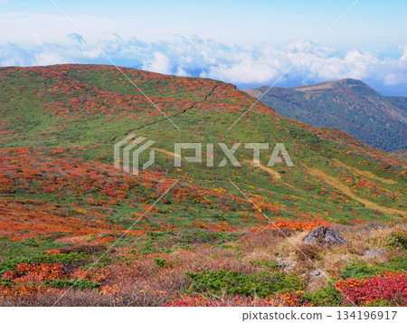 [Miyagi Prefecture] Autumn at Mount Kurikoma_Ryusengahara_01 134196917