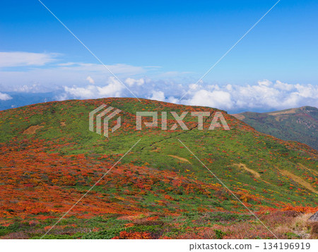 [宮城縣]栗子山的秋天_Ryusengahara_03 134196919