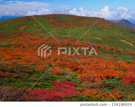 [Miyagi Prefecture] Autumn at Mount Kurikoma_Ryusengahara_08 134196924