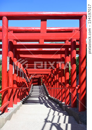 山口縣的元之隅神社，藍天白雲，陽光燦爛，紅色的鳥居構成了一幅美麗的景象。 134197017