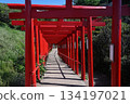 Motonosumi Shrine in Yamaguchi Prefecture, a beautiful sight with blue skies, summer sunshine, and the red torii gate 134197021