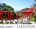 Motonosumi Shrine in Yamaguchi Prefecture, a beautiful sight with blue skies, summer sunshine, and the red torii gate 134197026