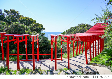 Motonosumi Shrine in Yamaguchi Prefecture, a beautiful sight with blue skies, summer sunshine, and the red torii gate 134197026