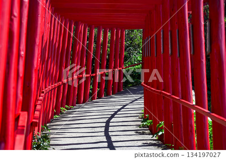 Motonosumi Shrine in Yamaguchi Prefecture, a beautiful sight with blue skies, summer sunshine, and the red torii gate Motonosumi Shrine in Yamaguchi Prefecture, a beautiful sight with blue skies, summer sunshine, and the red torii gate 134197027