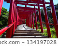 Motonosumi Shrine in Yamaguchi Prefecture, a beautiful sight with blue skies, summer sunshine, and the red torii gate 134197028