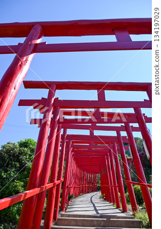 Motonosumi Shrine in Yamaguchi Prefecture, a beautiful sight with blue skies, summer sunshine, and the red torii gate 134197029