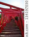 Motonosumi Shrine in Yamaguchi Prefecture, a beautiful sight with blue skies, summer sunshine, and the red torii gate 134197030