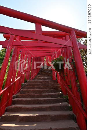 Motonosumi Shrine in Yamaguchi Prefecture, a beautiful sight with blue skies, summer sunshine, and the red torii gate 134197030