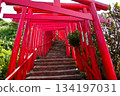 Motonosumi Shrine in Yamaguchi Prefecture, a beautiful sight with blue skies, summer sunshine, and the red torii gate 134197031