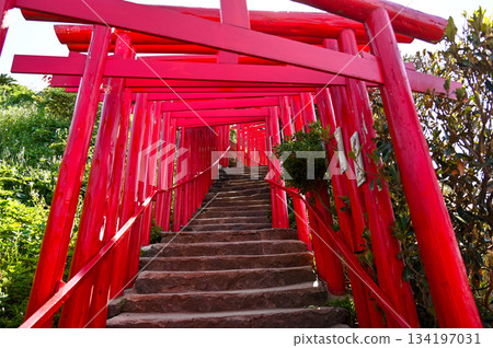 Motonosumi Shrine in Yamaguchi Prefecture, a beautiful sight with blue skies, summer sunshine, and the red torii gate Motonosumi Shrine in Yamaguchi Prefecture, a beautiful sight with blue skies, summer sunshine, and the red torii gate 134197031