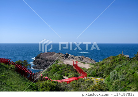 Motonosumi Shrine in Yamaguchi Prefecture, a beautiful sight with blue skies, summer sunshine, and the red torii gate 134197032