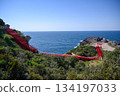 Motonosumi Shrine in Yamaguchi Prefecture, a beautiful sight with blue skies, summer sunshine, and the red torii gate 134197033