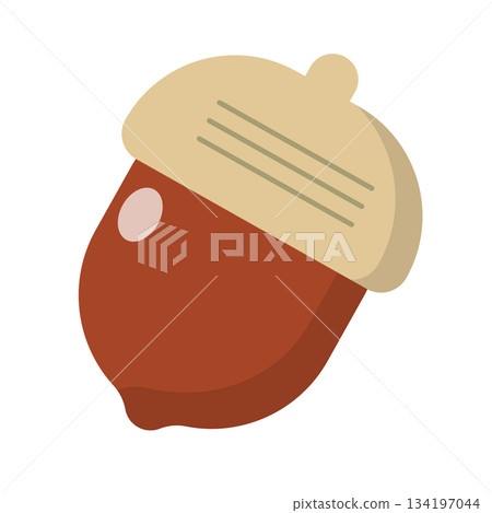 橡子圖標 134197044