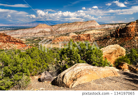 Scenic view of Colorado National Monument features red sandstone canyons and winding Rim Rock Drive. Landscape includes green juniper trees and distant Grand Valley under blue sky Scenic view of Colorado National Monument features red sandstone canyons and winding Rim Rock Drive. Landscape includes green juniper trees and distant Grand Valley under blue sky 134197065