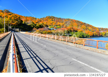 Modori Bridge / View of Chikuma Elementary School from the Chikuma River (Komoro City, Nagano Prefecture) [November 2025] 134197227
