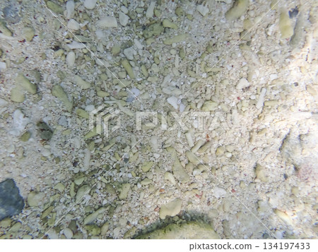 在清澈見底的海水中,白色沙灘綿延展開,構成了一幅迷人的水下景象。 在清澈見底的海水中,白色沙灘綿延展開,構成了一幅迷人的水下景象。 134197433