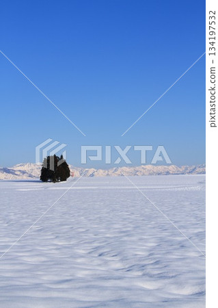 新潟縣大千谷市池原雪原景色 134197532