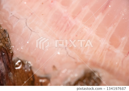 在砧板上剔除比目魚魚片的圖片 在砧板上剔除比目魚魚片的圖片 134197687