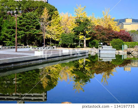城西公園花園 城西公園花園 134197735