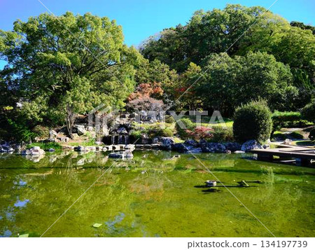 城西公園花園 城西公園花園 134197739