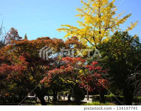 Josai Park Gardens 134197745