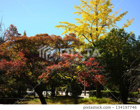 Josai Park Gardens Josai Park Gardens 134197746