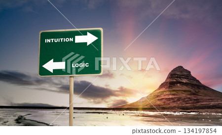 Landscape showing a road sign with arrows pointing in opposite directions, labeled Intuition and Logic. Concept of choice, decision making, and the balance between feeling and reason 134197854