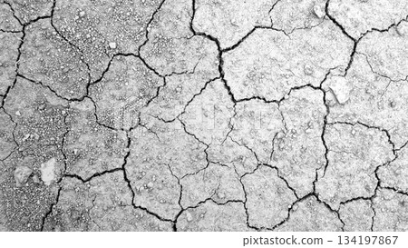 Closeup of a dry and cracked soil surface, Effects of drought, climate change, and environmental degradation. Texture and patterns of the parched earth. Droughtland background Closeup of a dry and cracked soil surface, Effects of drought, climate change, and environmental degradation. Texture and patterns of the parched earth. Droughtland background 134197867