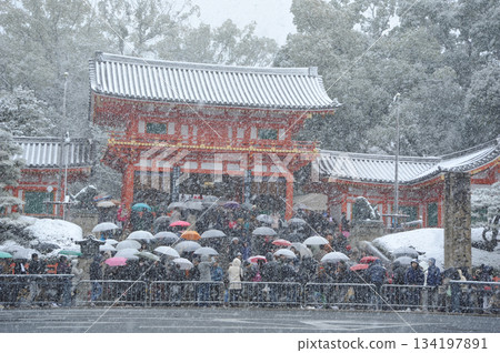 Snowy第一次參拜八坂神社 134197891