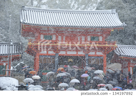 Snowy第一次參拜八坂神社 134197892
