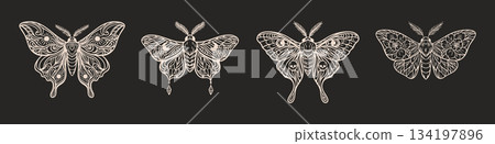 Mystical boho moth set in beige line art on black background 134197896