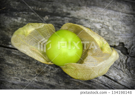 Tomatillo fruit 134198148