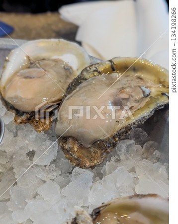 Closeup of fresh oysters on ice with lemon wedges 134198266