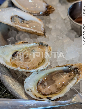 Closeup of fresh oysters on ice with lemon wedges Closeup of fresh oysters on ice with lemon wedges 134198329